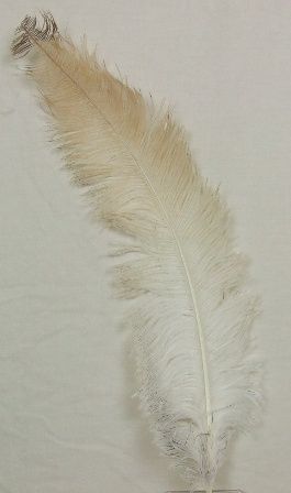 Ostrich Feathers Natural X 5-0