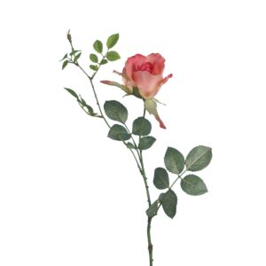 Alice Rose Melon 70cm-0