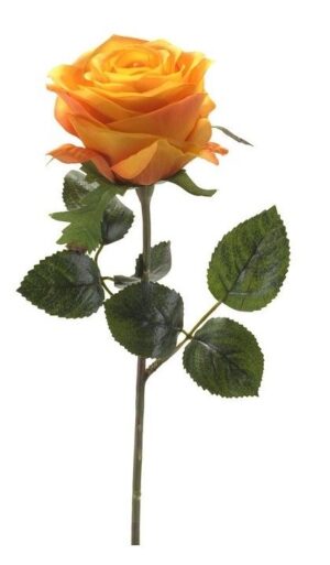 Rose Simone Yellow/Orange 45cm-0