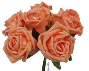 Foam Colourfast Cottage Rose x 6 Apricot-0