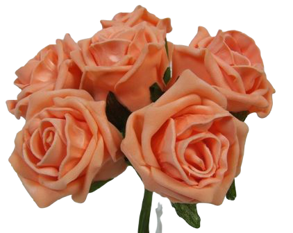 Foam Colourfast Cottage Rose x 6 Apricot-0