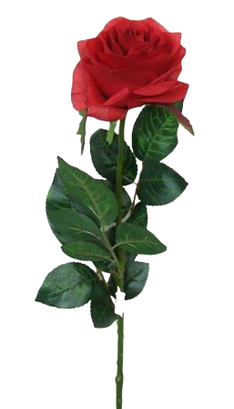Rose Simone Red 73cm-0