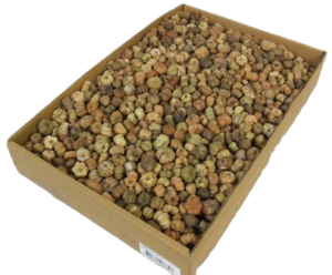 Putka Pods Natural-0