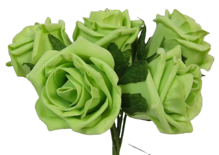 Foam Colourfast Cottage Rose x 6 Lime - DIS-0