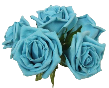 Foam Colourfast Cottage Rose x 6 Turquoise-0