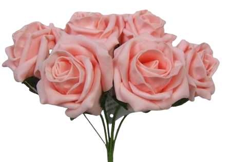 Foam Colourfast Cottage Rose x 6 Peach-0