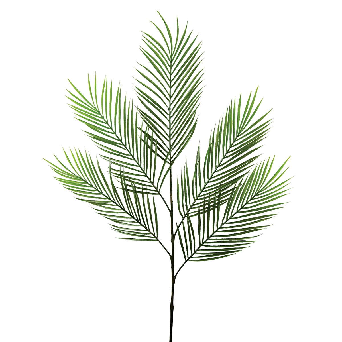Areca Palm Branch 98cm-0