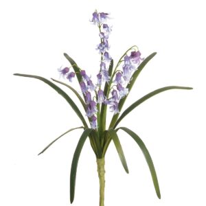 Bluebell Bush 35cm-0