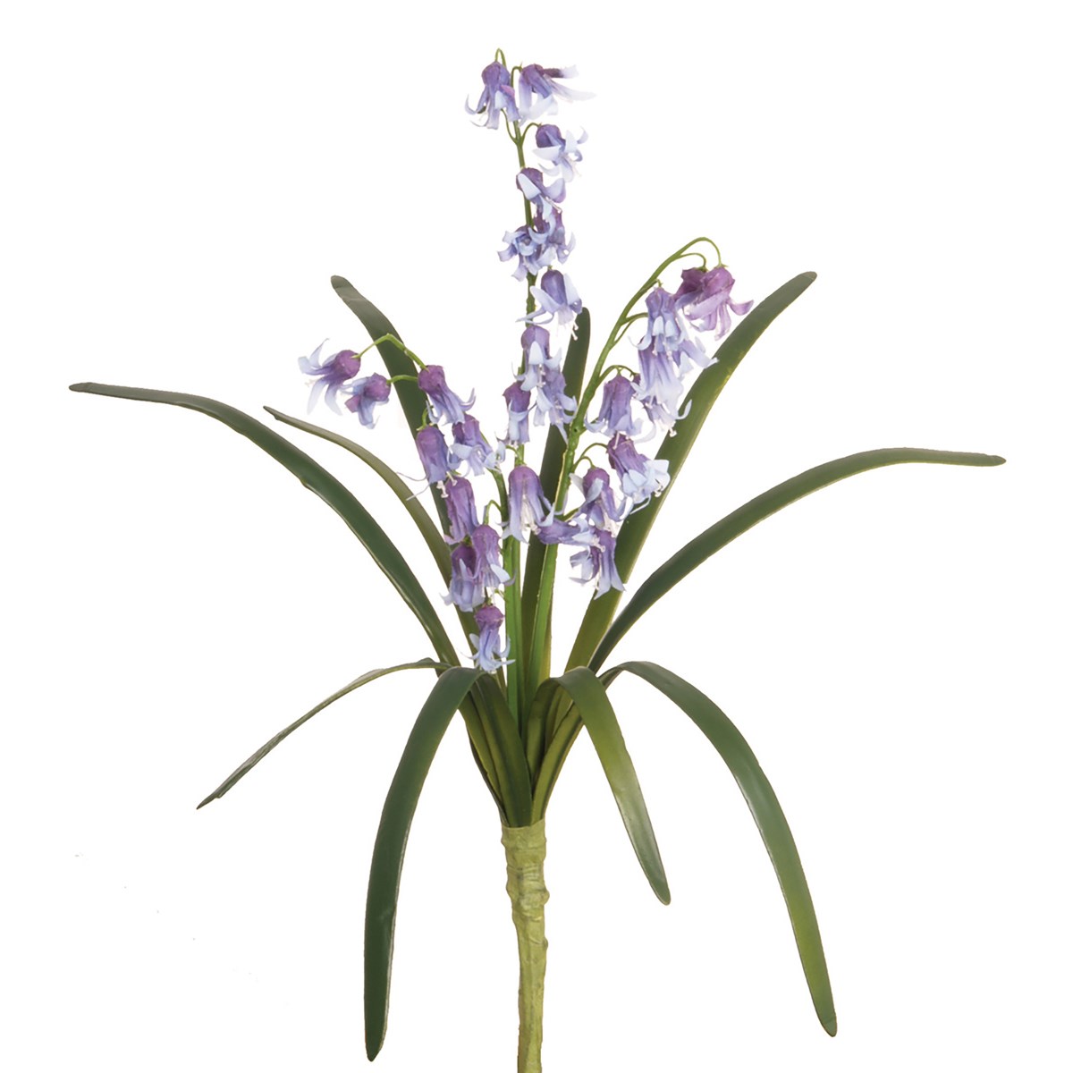 Bluebell Bush 35cm-0