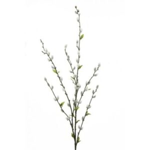 Pussy Willow Spray 115cm-0