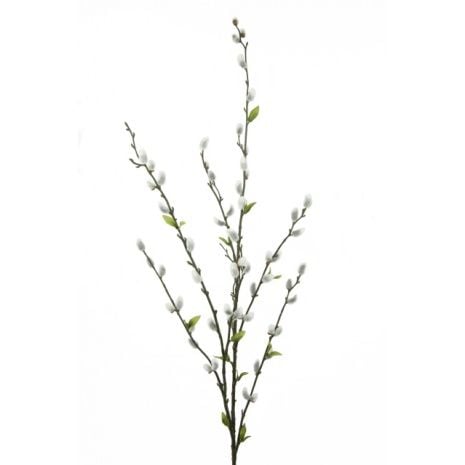 Pussy Willow Spray 115cm-0