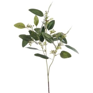 Eucalyptus Spray 60cm-0