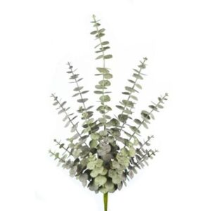 Spiral Eucalyptus Spray 70cm Green-0