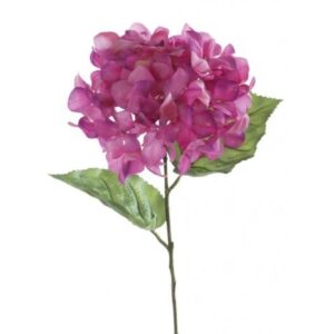 Hydrangea Macrophylla 67cm Lavender-0