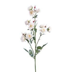 ECO Isabella Wild Rose Spray 73cm White