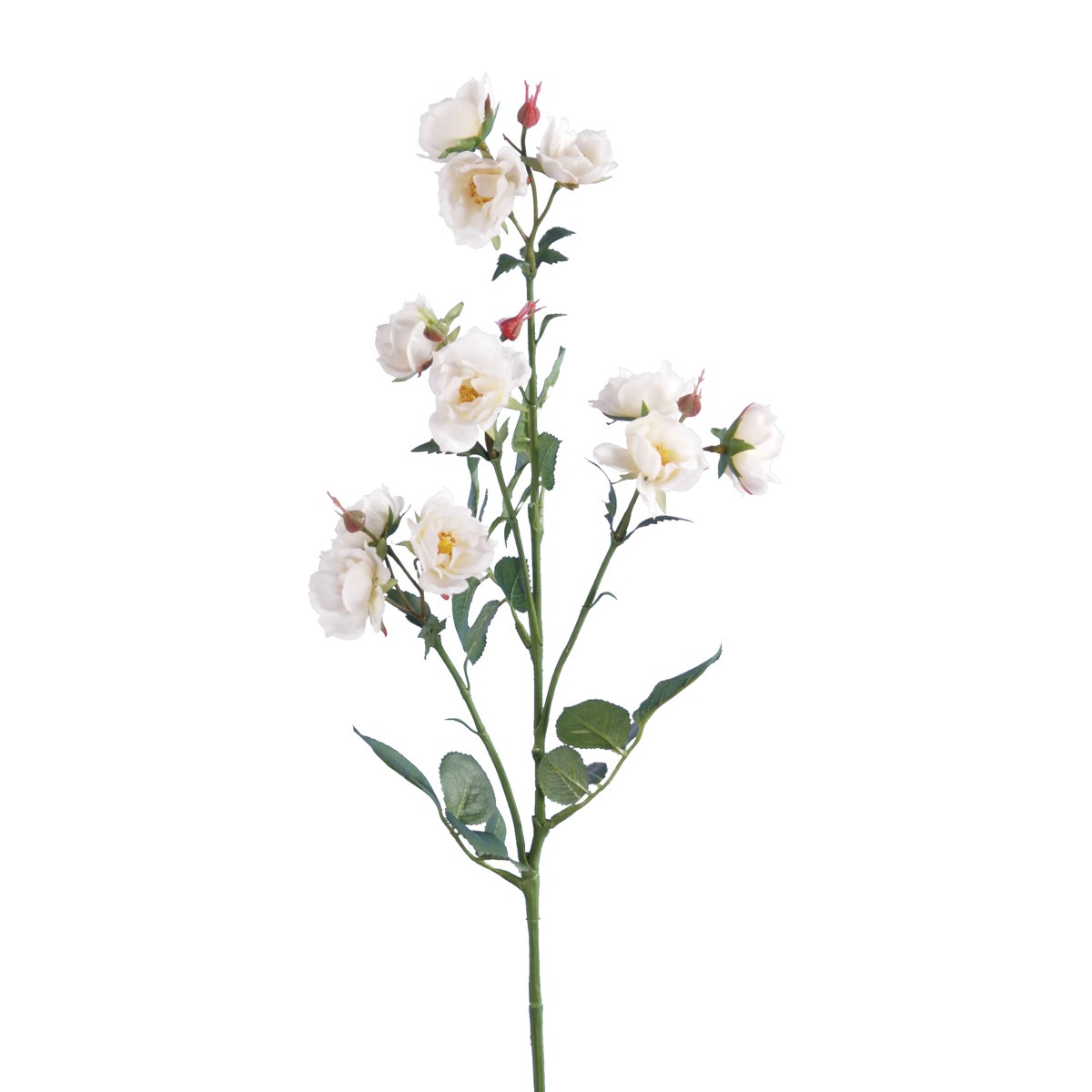 ECO Isabella Wild Rose Spray 73cm White