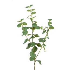Eucalyptus Spray 76cm Green-0