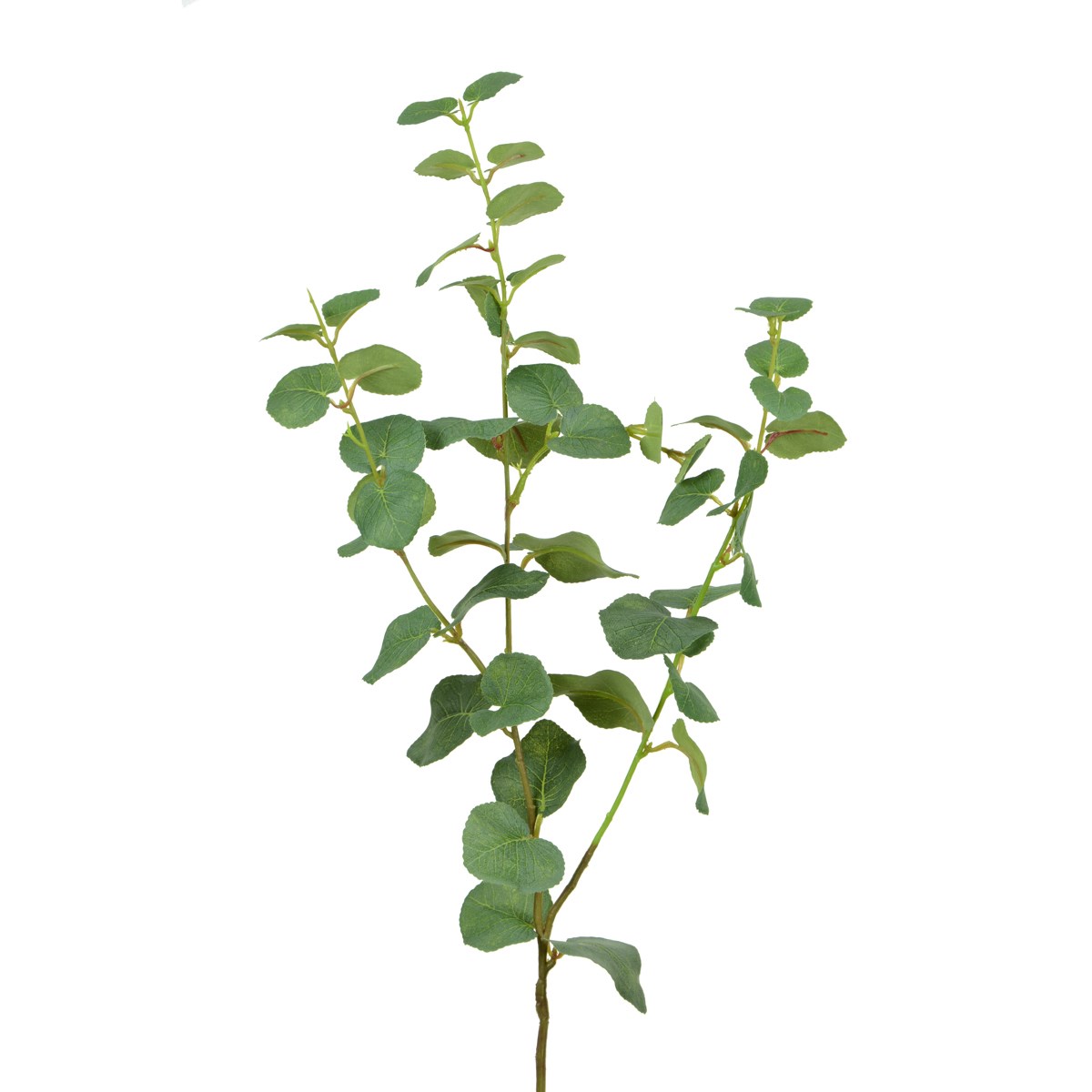 Eucalyptus Spray 76cm Green-0
