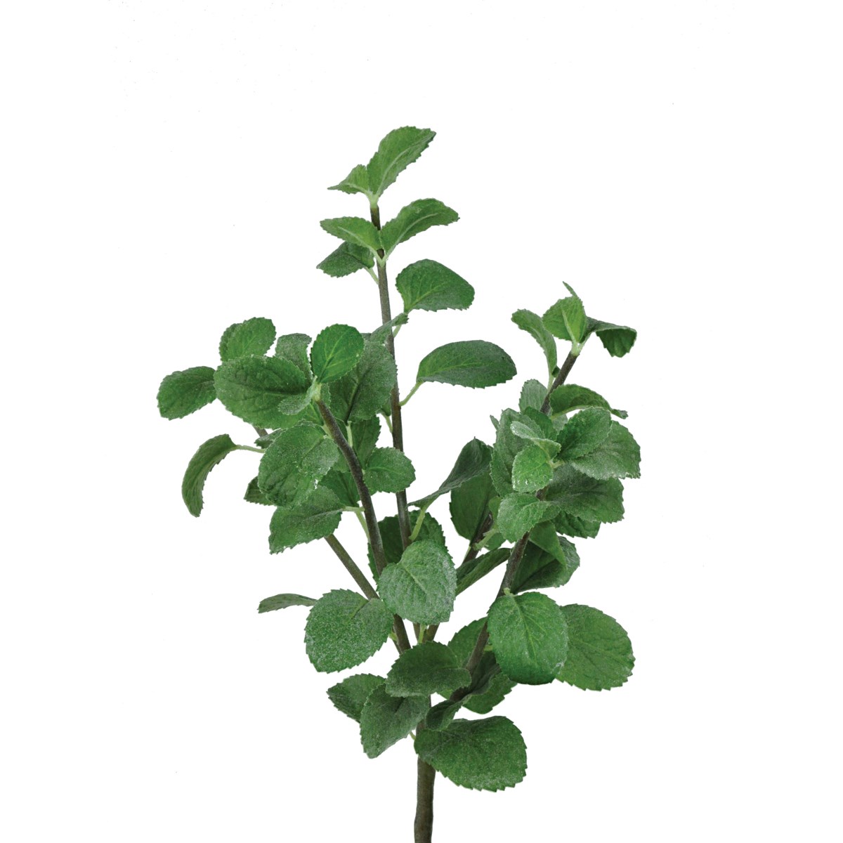 Mint Bush 39cm-0