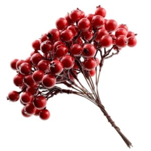 14cm Berry Bundle With Hip - Weather Resistant