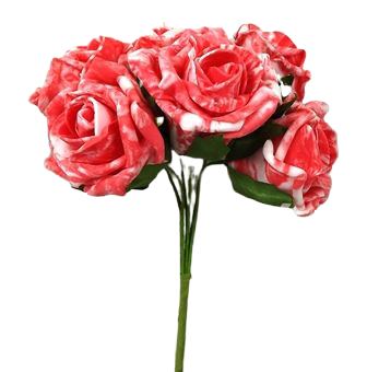 Colourfast Marble Rose x6 heads Coral-0