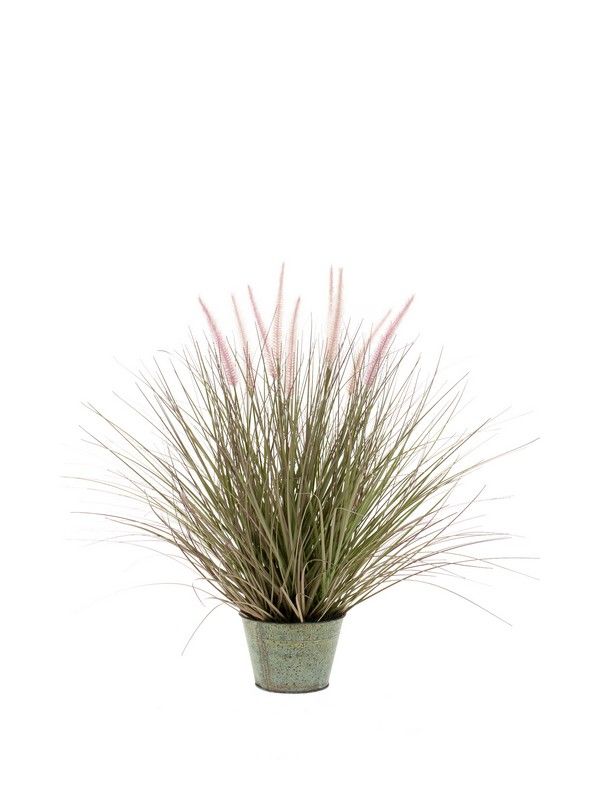 Pennisetum Grass In Zinc Pot 86Cm-0