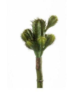 Cactus 18Cm Green-0