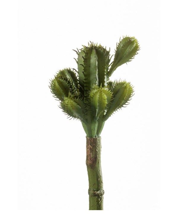 Cactus 18Cm Green-0