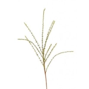 Thyme Spray 50cm-0