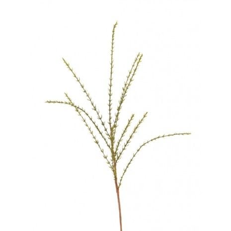 Thyme Spray 50cm-0
