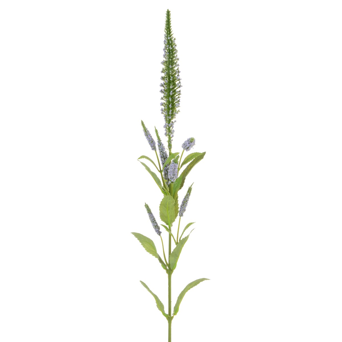 Veronica Spray 72cm Lavender-0