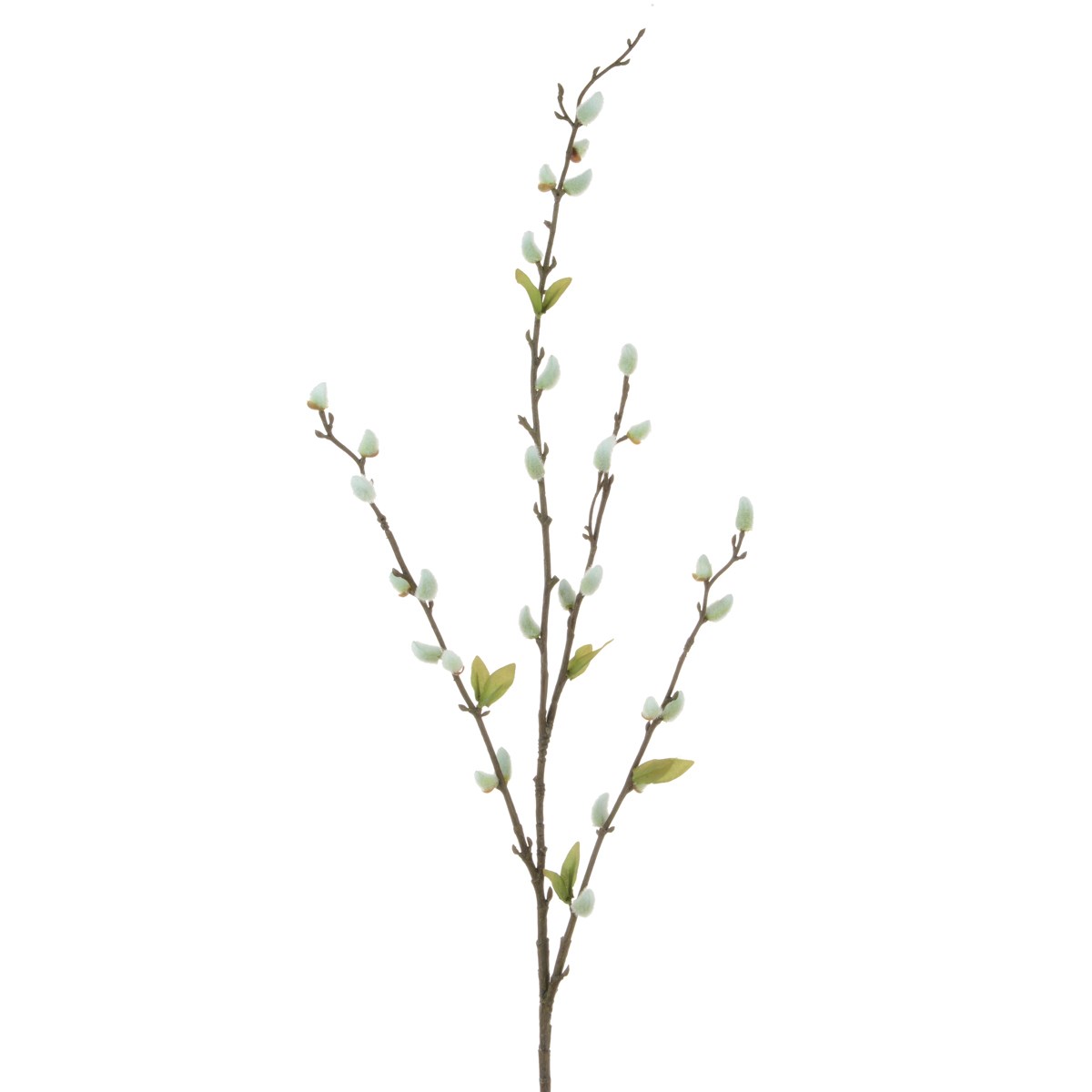 Pussy Willow Stem 81cm-0