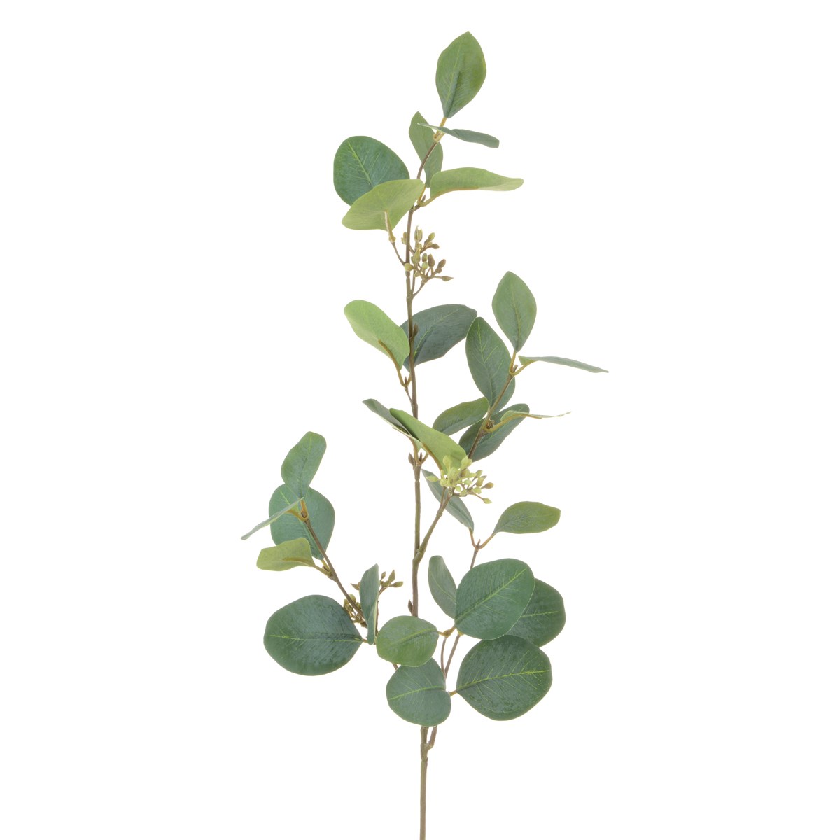 Eucalyptus Spray W/Berries-0