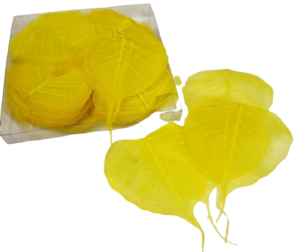 Skeleton Leaves Bleached Yellow X 200-0