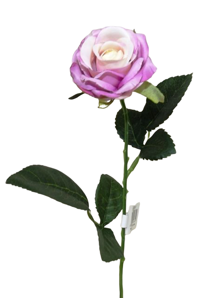 Diamond Rose Lavender 40cm-0
