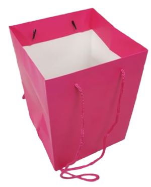 Olympic Bag Cerise 25cm-0