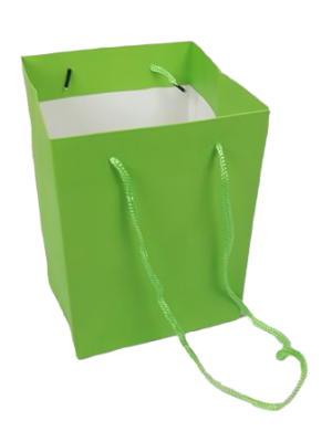 Olympic Bag Lime 25cm-0
