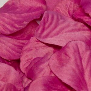 Eleganza Rose Petals x 1,000 Fuchsia-0