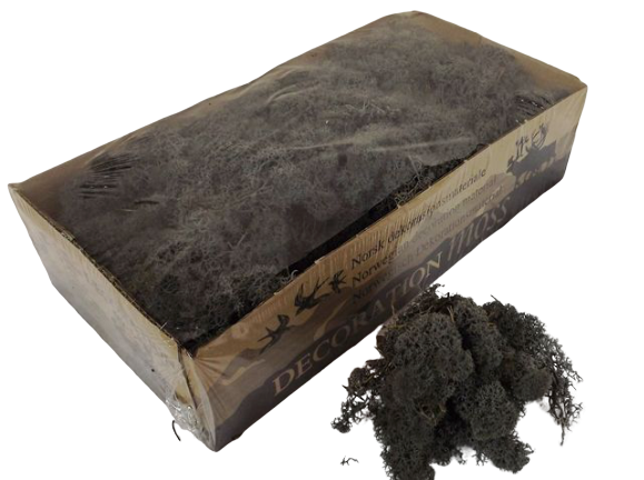 Reindeer Moss (Icelandic Moss) Anthracite