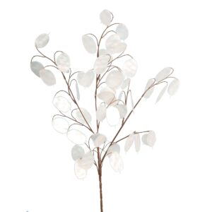 Honesty Spray x 48 Leaves White 76cm-0
