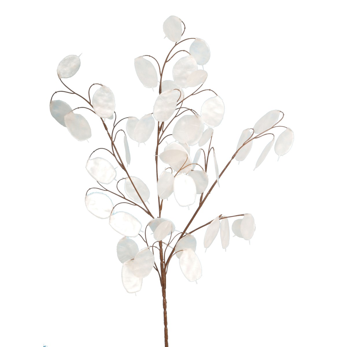 Honesty Spray x 48 Leaves White 76cm-0