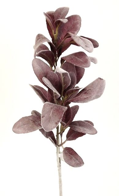 Lambs Ear Spray 71cm Dusty Pink-0