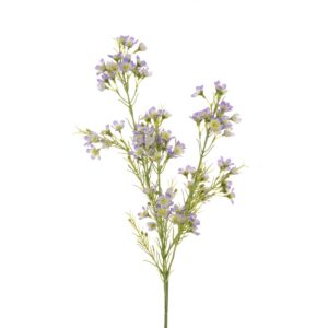 Wintersweet Spray x 3 67cm Lavender-0