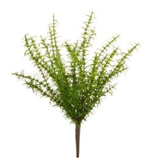 Rosemary Bush 43cm Green-0