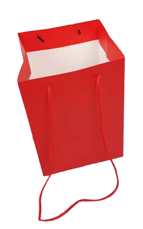 Olympic Bag 25cm Glossy Red-0