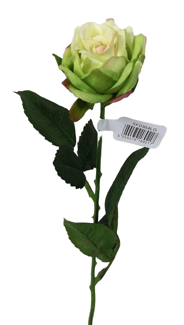 Diamond Rose Light Green 40cm-0