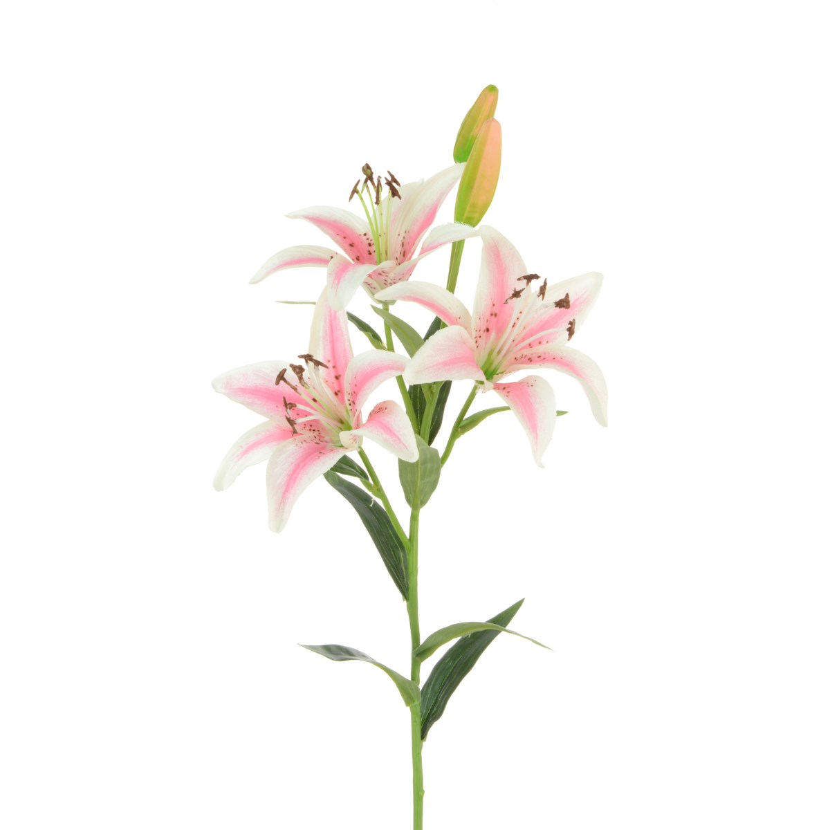 Tiger Lily 82cm Pink