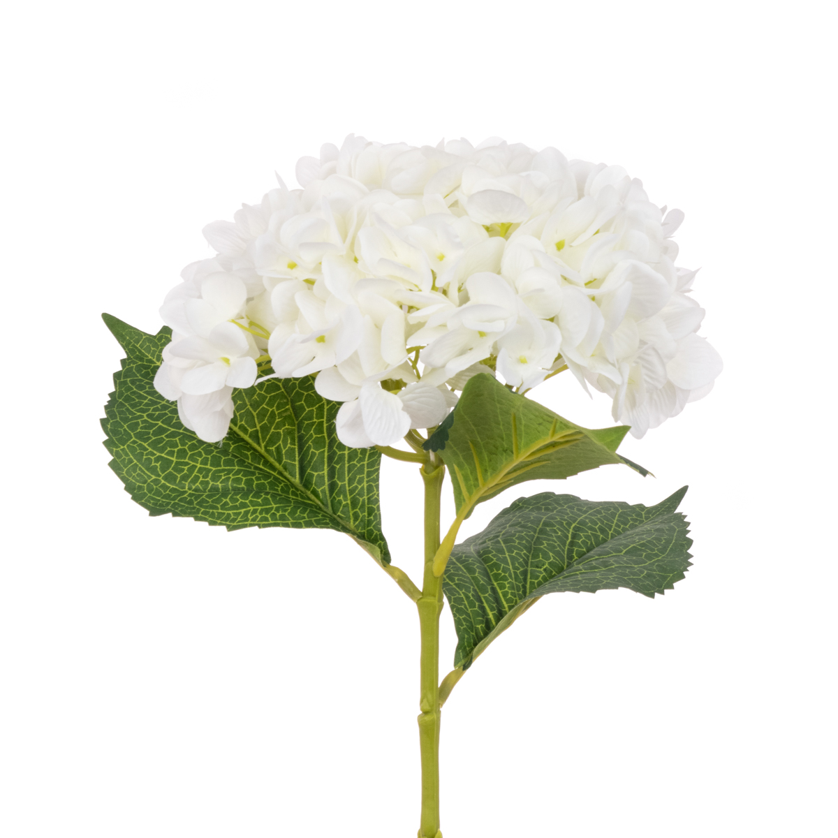 Hydrangea 65cm White-0