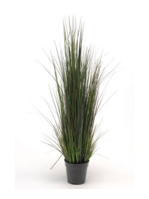Grass River 90cm In Plastic Pot 14cm-0