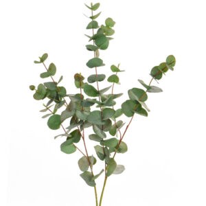 Foliage Eucalyptus Green Gb 100cm